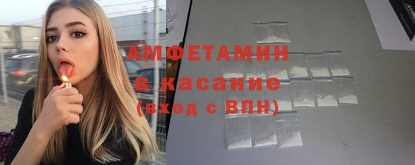 индика Алзамай