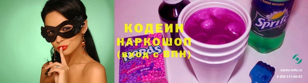 индика Алзамай