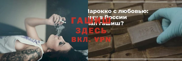 индика Алзамай