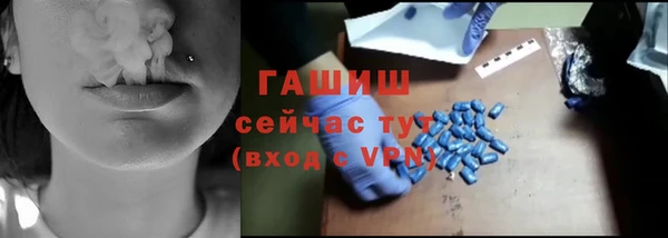 индика Алзамай