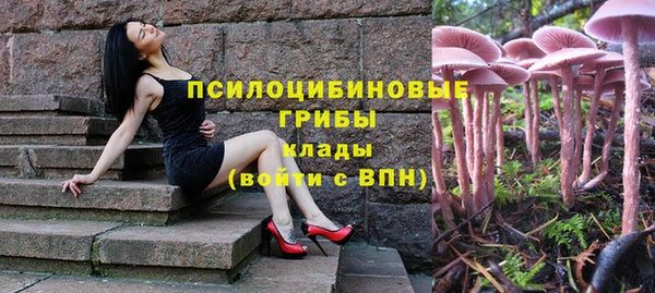 твердый Алексин