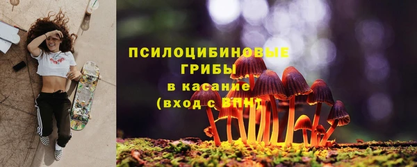 твердый Алексин