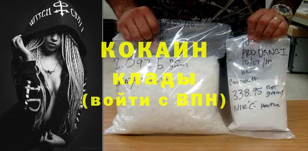 индика Алзамай