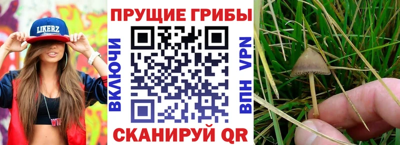 Галлюциногенные грибы мухоморы  hydra ТОР  Шуя 