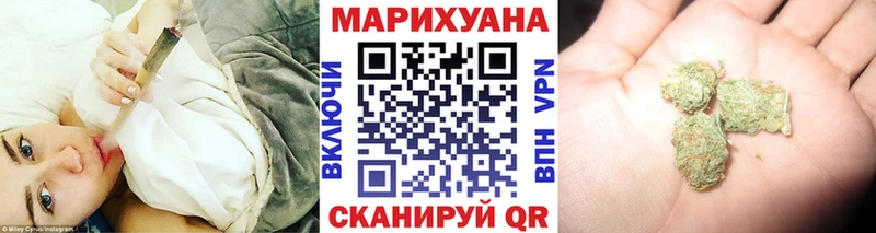 Канабис планчик  цены   Шуя 